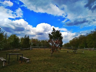 Empty picnic tables and benches on a meadow with trees in the backgroundw ith blue sky and clouds