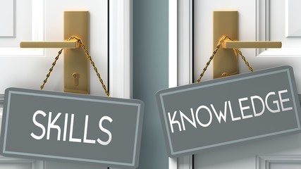 knowledge or skills as a choice in life - pictured as words skills, knowledge on doors to show that skills and knowledge are different options to choose from, 3d illustration