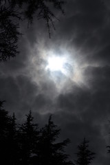 Naklejka premium Perception