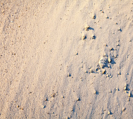 Sand surface