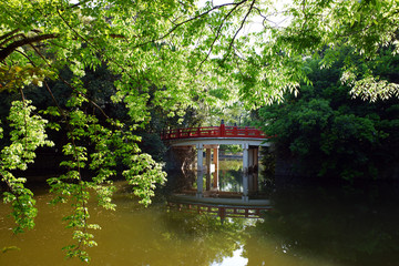 氷川神社