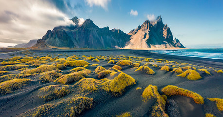 View from flying drone. Spectacular autumn scene of Stokksnes cape with Vestrahorn (Batman Mountain) on background. Panoramic Icelandic view of black sand dunes with lash yellow grass. - obrazy, fototapety, plakaty