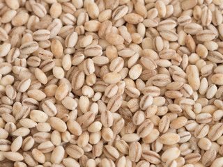 Pearl Barley texture close up