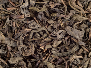 Green tea texture close up