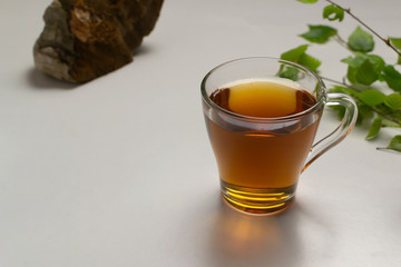 Cup with chaga tea and birch branches, mushroom on a white background. Copy space.