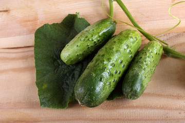 Cucumbers on table