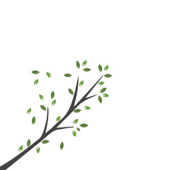 Vector branch , Hand drawn illustration of tree branch design template