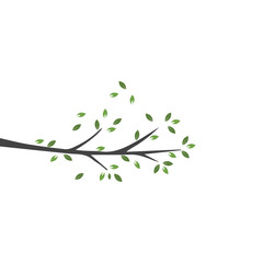 Vector branch , Hand drawn illustration of tree branch design template