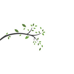 Vector branch , Hand drawn illustration of tree branch design template