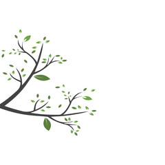 Obraz premium Vector branch , Hand drawn illustration of tree branch design template