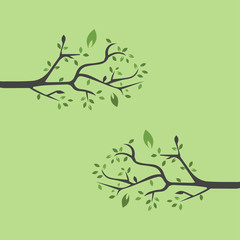 Fototapeta premium Vector branch , Hand drawn illustration of tree branch design template