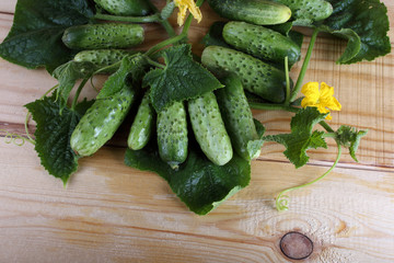 Cucumbers on table