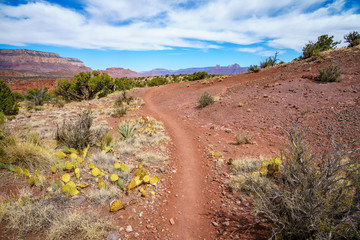 hiking the grandview trail at the south rim of grand canyon in arizona,usa