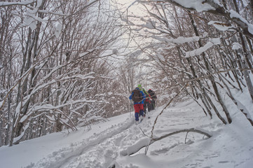 Panorami invernali in trekking sulla neve