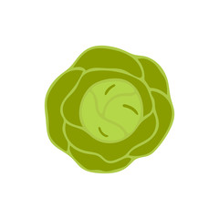 Flat colored vegetable cabbage icon isolated on white background. Concept for farmers market, organic food, grocery store, cafe, restaurant.  Natural product, vegetarian, fresh, natural design