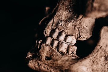 Skull of the human on a black background