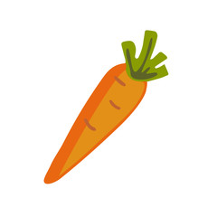 Flat colored vegetable carrot icon isolated on white background. Concept for farmers market, organic food, grocery store, cafe, restaurant.  Natural product, vegetarian, fresh, natural design