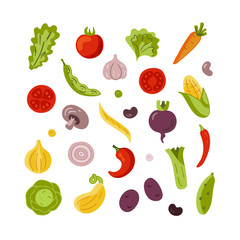 Flat colored vegetable icons set isolated on white background. Concept for farmers market, organic food, grocery store, cafe, restaurant, food. Natural product, vegetarian, fresh, natural design.