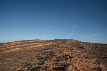 A hill in the steppe under a blue sky