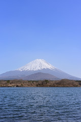 Fototapeta na wymiar Shoji Lake and Mount fuji in japan