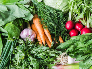 Fresh Spring vegetables and herbs - carrots, ramson, radish, dill, garlic, arugula, green onions background. Food healthy background.