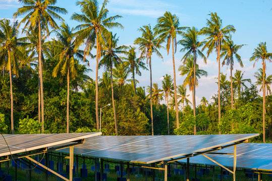 Solar Panels On A Tropical Island