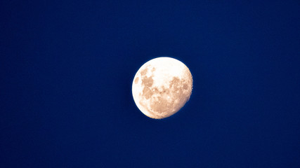 Obraz premium moon
