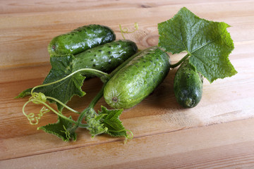 Cucumbers on table