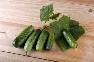 Cucumbers on table