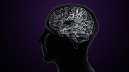 Fototapeta premium Human body with brain intersection anatomy. 3d illustration