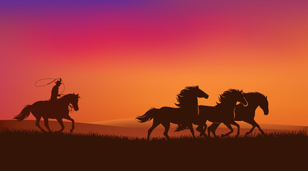 Fototapeta na wymiar cowboy rider chasing mustang horses herd and throwing lasso - wild west sunset landscape scene vector silhouette design