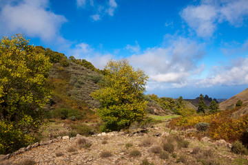 Antigua era en Fontanales en la isla de Gran Canaria
