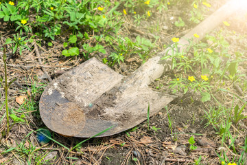 A dirty shovel in the garden lies on the ground in green grass in the summer sunshine. Tools for gardening and agriculture