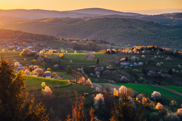 Morning light in spring landscape. Beautiful green rural agricultural fields, small houses, blossom trees, warm sunrise light. Slovakia, Europe