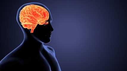 3D render of a medical brain in male figure with frontal lobe