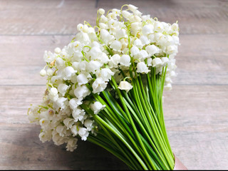 lily of the valley