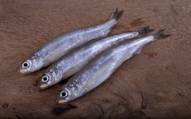 Smelt fish on cutting board