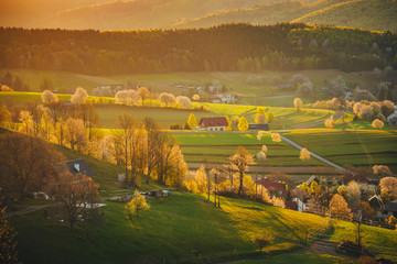 Orange and yellow spring sunrise light in beautiful blossom agricultural rural landscape