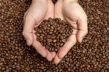 coffee beans in hands