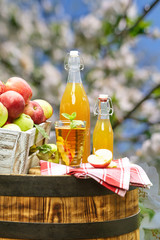 Basket of apples on background orchard standing on a barrel. Apple juice bottle.