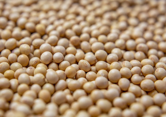 Soy harvested in silos.