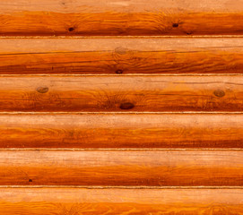 Obraz premium Wooden wall from logs of pine , nature lumber background texture , ginger wood surface backdrop