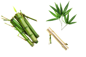 Bamboo part isolated on white background, Set or collection of green bamboo part as background or...