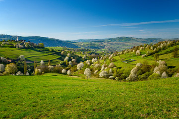 Morning light in spring landscape. Beautiful green rural agricultural fields, small houses, blossom trees, warm sunrise light. Slovakia, Europe