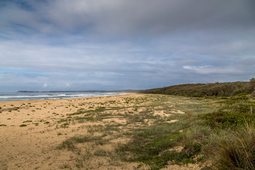 Dunes at the beach of the Camel Rock bay in New South Wales, Australia at a cloudy and windy day in summer with strong waves in the ocean. 