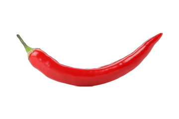 Single chilli pepper isolated on white background