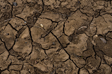 dried cracked tracks on the ground from wheels in the mud on an abandoned road