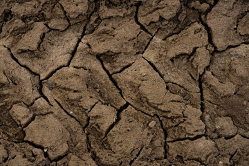 dried cracked tracks on the ground from wheels in the mud on an abandoned road