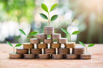 plant money coins saving set increase for concept investment mutual fund finance and business