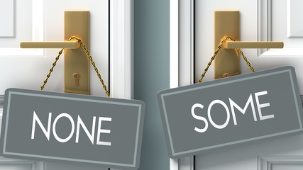 some or none as a choice in life - pictured as words none, some on doors to show that none and some are different options to choose from, 3d illustration - obrazy, fototapety, plakaty